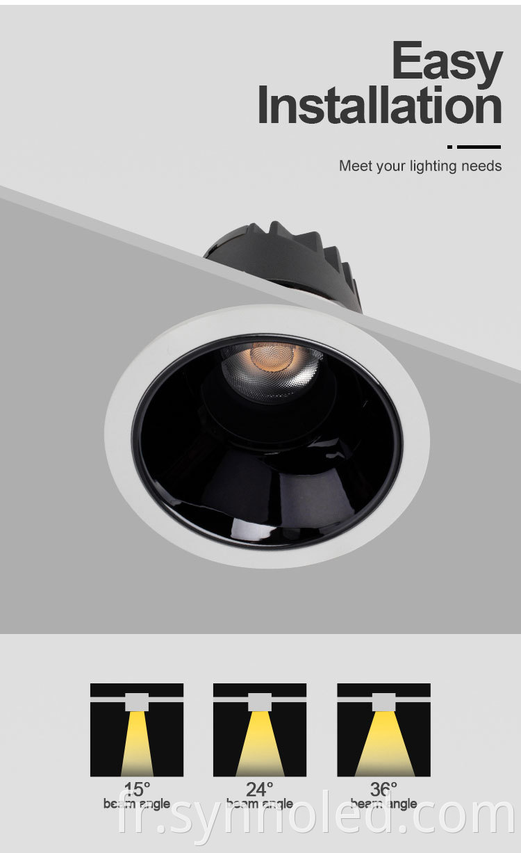 Adjustable Led Downlight From Synno Lighting